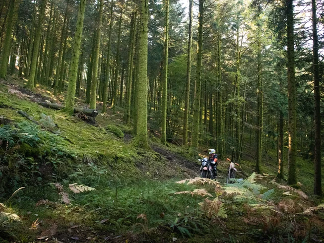 4 Day Guided Adventure Motorbike Tour in Morvan, France photo 7