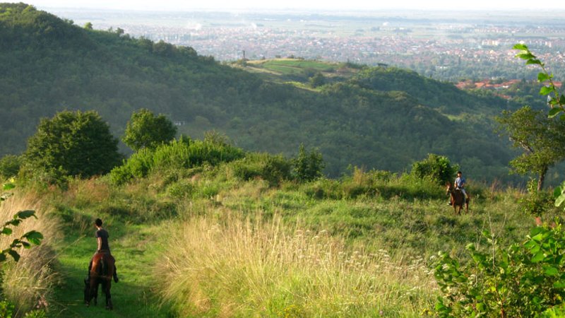 9  Days Fruska Gora Horse Riding Holiday in Vojvodina, Serbia