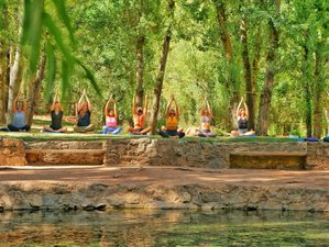 8 Day Shamanic Immersion and Ayahuasca Retreat in Andalusia, Spain
