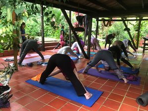 5 días de yoga y apnea básica en temporada de ballenas en el Pacífico, Nuqui, Colombia