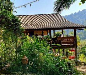 8 jours en stage de muay thaï et yoga dans la jungle de Paksong, Thaïlande - Photo 5