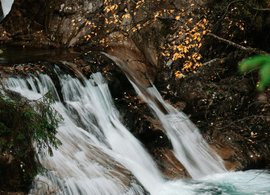 Vela Luka Retreats & Trips