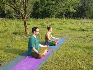 10 días de retiro de yoga, naturopatía y pérdida de peso en Tamil Nadu