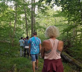 3 jours en stage de Tai Chi Easy : plongez dans la vitalité en retraite dans les montagnes Pocono, États-Unis - Photo 3