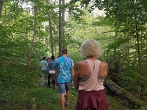 3 Day Tai Chi Easy: Flow into Vitality Retreat in Pocono Mountains, USA 