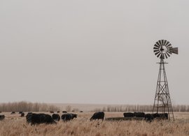 Kansas Retreats & Trips