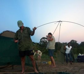 6 días de safari en canoa desde Kariba hasta Mana Pools por el río Zambezi - Photo 5