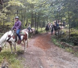 3 Day Algonquin by Horseback: Trail Riding through Algonquin Park in Ontario, Canada - Photo 3