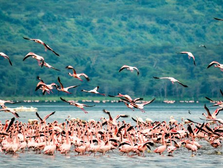 Lake Nakuru