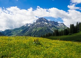 Lech Retreats & Trips