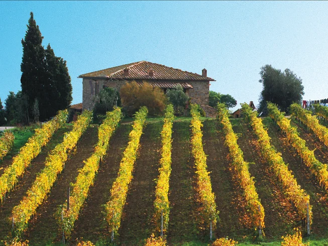10 Day The Best of Tuscany - Premium Guided Motorcycle Tour in Italy photo 2