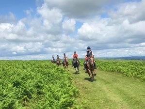 3 Day Silver John Trail Short Horse Riding Tour in Wales, United Kingdom