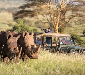 97 Tage Mara Migration Spezial Safari in Kenia - Photo 1