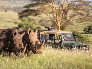 7 Day Mara Migration Special Safari in Kenya