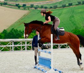 7 Day Luxury Jumping and Flatwork Training in the Italian Marche Countryside, Fermo - Photo 5
