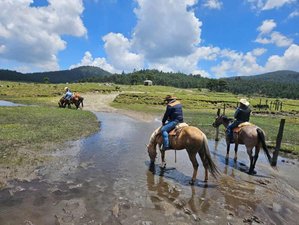5 Day Horse Riding Holiday in San Miguel Tecpan, Mexico