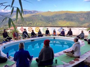 21 Day 200-Hour Hatha Vinyasa Yoga Teacher Training and Ashram Experience in Cali