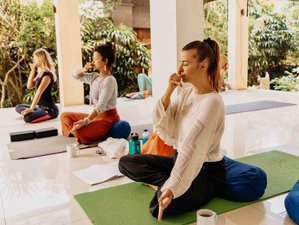 8 Day 50-Hour Ashtanga Vinyasa Yoga Teacher Training in Ubud, Bali, Indonesia