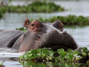 2 Day Wonderful Lake Naivasha Wildlife Budget Safari in Kenya