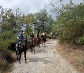 48-Daagse Ontdek Valdarno Ruitervakantie in Toscane, Italië - Photo 1