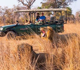 10 Tage Kanufahren am Unteren Sambesi und Safari im Kafue-Nationalpark in Sambia - Photo 5