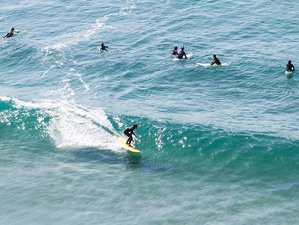 7 Day Surfari from Lagos to Sines in Southern Portugal