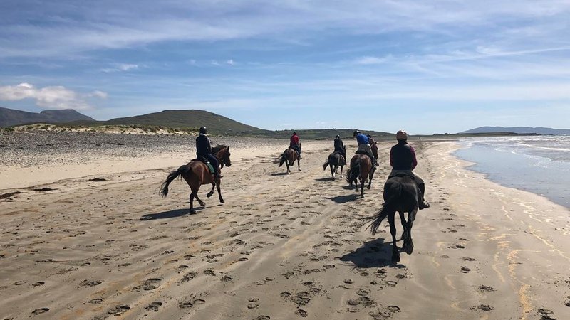 5 Day Mini Trail Horse Riding Holiday in County Mayo