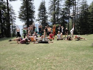 4 Day Yoga Retreat in Manali With Hiking Around Manali, Meditation in the Nature and Homemade Food
