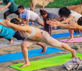 1110 jours en retraite de yoga et pleine conscience avec Hatha Yoga School à Goa, Inde - Photo 1