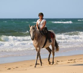 18 Day Adult Beginner Horseback Riding Course in Mimizan, Landes - Photo 1