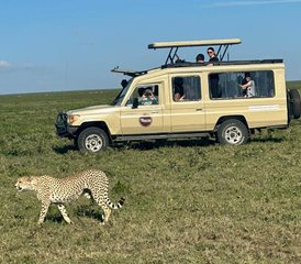 84-Daagse Smaak van Tanzania Budget Safari in Tarangire Serengeti en de Ngorongoro Krater - Photo 1