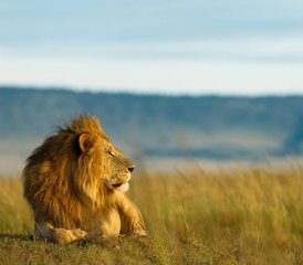 58 Tage Serengeti & Beyond: eine Tansania Safari in Tarangire, Lake Manyara und Ngorongoro Krater, Tansania  - Photo 1