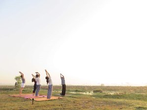 29 Day 500-Hour Advanced Yoga Therapy Teacher Training Course in Benaulim, Goa