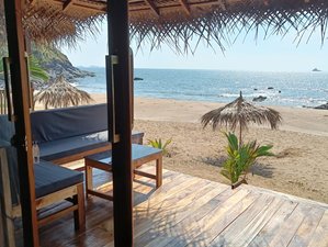 5 Day Fresh Beach Yoga Retreat in Canacona, Goa 
