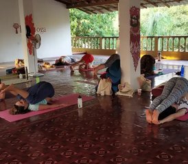 7 Day Yoga Retreat in Goa, India - Photo 3