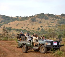 95 Tage Best of Kruger und Blyde River Canyon: Private Safari in Südafrika - Photo 1