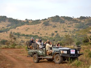 5-Daagse Best Of Kruger En Blyde River Canyon: Privésafari In Zuid-Afrika