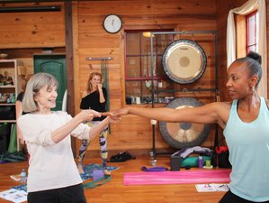 17 Day 200-Hour Yoga Teacher Immersion Training Program for Ages 50-plus in Bradenton, Florida