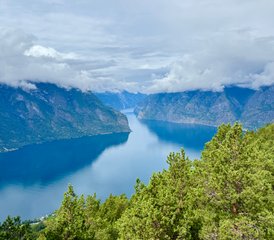 6 Day Norway Yoga Retreat with Hiking and Fjord Adventures - Photo 2