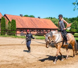 7 Day Awe-Inspiring Horse Riding Holiday in Galiny, Gmina Bartoszyce, Poland - Photo 5
