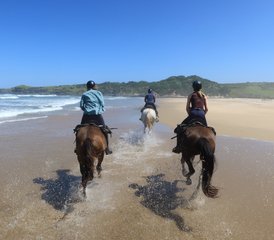 2 jours en stage d’équitation sur la plage du sentier de la rivière Kei sur la Wild Coast, Afrique du Sud - Photo 2