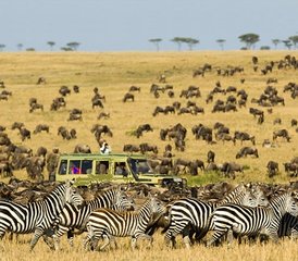64-Daagse Budget Safari in Serengeti National Park en Ngorongoro Crater, Tanzania - Photo 1