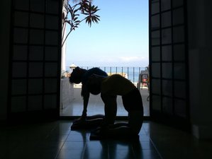 7 Day Intermediate Yoga Retreat Intensive in Puerto Vallarta, Mexico