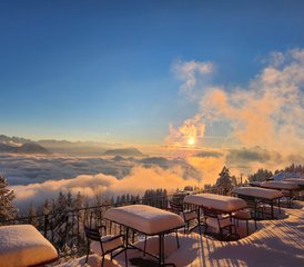 4 Tage Jugend-Bindungs-Retreat mit Yoga auf dem Rigi, Schweiz - Photo 4