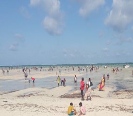 4 Tage Mombasa Safari Erkundung - Photo 5