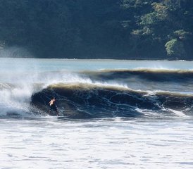 5 Day Beginners Surf Camp in Guanico, Los Santos, Panama - Photo 3