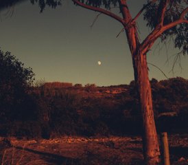 4 Day Flexible Nana House Yoga Retreat in Ericeira, Portugal with Pranayama, Meditation & More - Photo 4