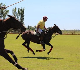 02 Days of Polo Lesson and HorseRiding Holiday in Capilla del Señor, Buenos Aires Province - Photo 1