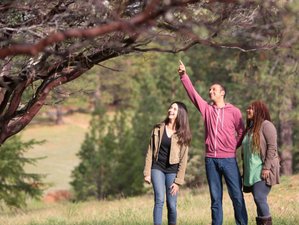 3 Day Digital Detox and Wellness Retreat in Nevada City, USA