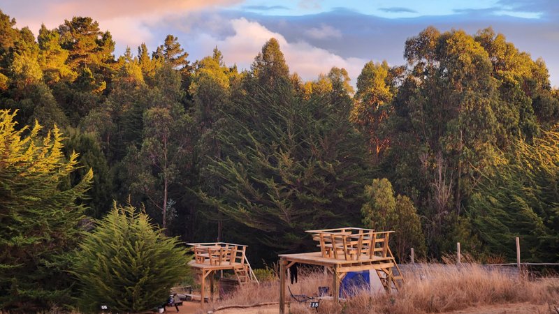 6 Day Self-Guided Cycling Holiday in Pichilemu, Chile